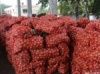 Энгельсские фермеры создали кооператив, чтобы торговать в сетевых магазинах