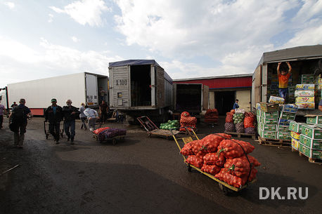 Свердловская область: Фермеры и Овощебаза №4 создали «УралАгроКооперацию»