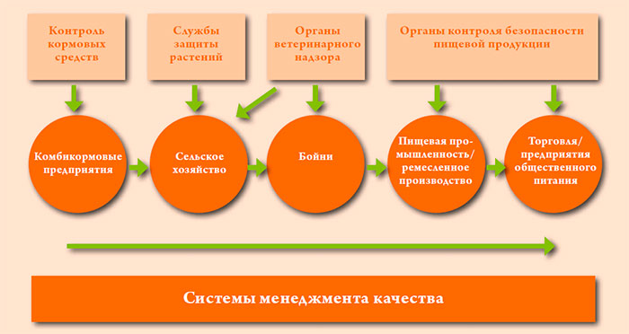 Контроль всех звеньев продовольственной цепи