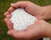 Некоммерческие организации смогут сами вести бухгалтерский учет
