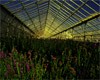 Руководитель кооператива обманул заемщиков Волгоградской области 15 раз