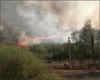 Как стабилизировать АПК Ставропольского края в условиях непогоды