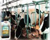 Росагролизинг: Якутия активно приобретает сельхозоборудование