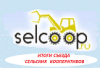 РАЗОЧАРОВАНИЕ ОТ ПОБЕДЫ…