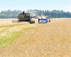 Более 9 тыс. человек посетили II Межрегиональный агропромышленный форум «День сибирского поля-2012»