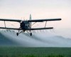 Органические продукты получат законный статус