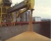Красноярский край. В кооперативе выявлено хищение 90 млн руб из интервенционного фонда 