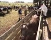 Агробизнес с учетом ВТО обсудили на форуме сельской молодежи