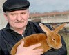 Дагестанские фермеры примут участие в Съезде сельхозкооператоров в Москве