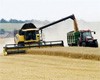 Около 84 млн рублей в техническое перевооружение сельского хозяйства инвестировали хозяйства Зонального района