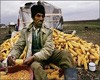 Операция «Кооперация. Декларация. Профанация»
