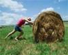 Украина. В Житомирской области крестьяне массово объединяются в кооперативы