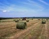Минсельхоз: уменьшение господдержки не проблема ВТО