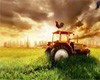 Вступление в ВТО – это шанс вырваться «из оков своего консерватизма» и научиться работать по-новому